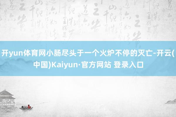 开yun体育网小肠尽头于一个火炉不停的灭亡-开云(中国)Kaiyun·官方网站 登录入口